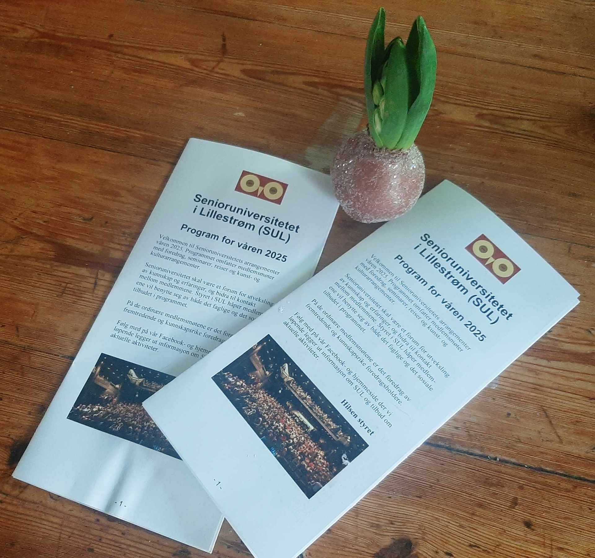 SUL-programmet våren 2025